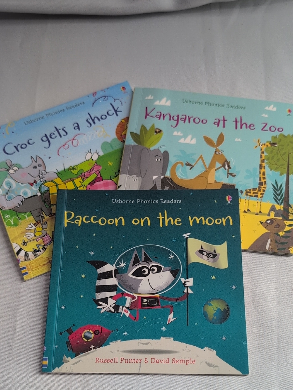 Usborne Raccoon on the Moon - Teal Kids Book